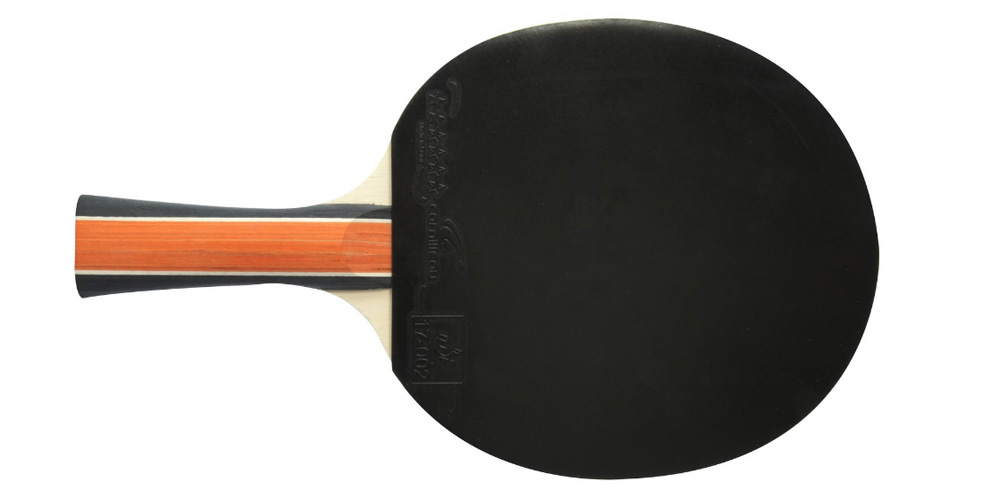 Raquette de ping pong sport 300 cornilleau